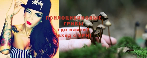 apvp Тавда
