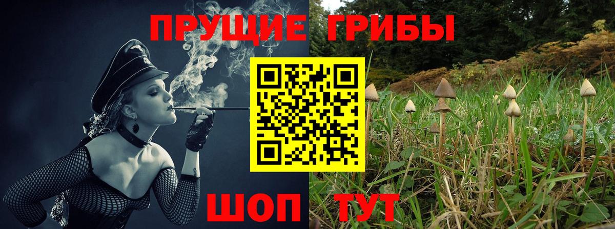 Псилоцибиновые грибы Psilocybe  Галлюциногенные грибы мухоморы  Снежинск  Вход с VPN 